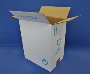 Boite en carton simple cannelure 30x20x17 cm